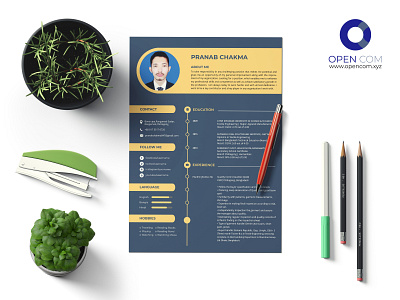 Resume cv resume template cv template resume resume template