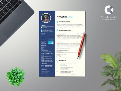 Professional CV Design