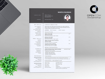 CV Design branding cv design cv resume cv resume template cv template design illustration resume resume design resume template vector