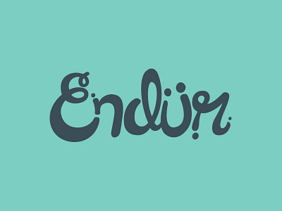 Endür Logo lettering logo typography