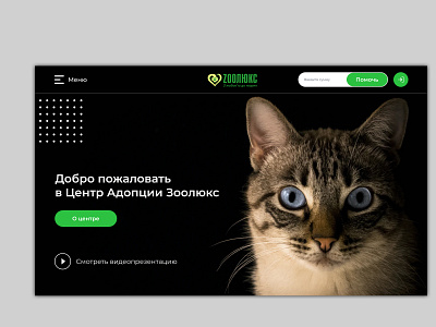 Design for Zoolux (Rus) banner design cat design designer figma photoshop ui web zoo