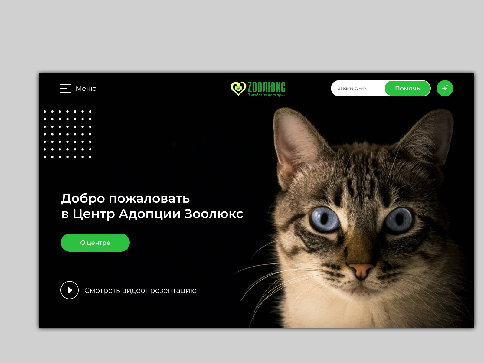 Design for Zoolux (Rus) by Axwell Design on Dribbble