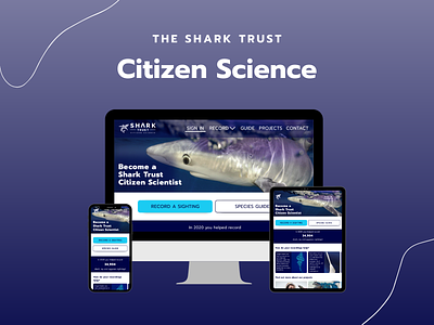 UI Redesign: Shark Trust Citizen Science branding design redesign responsiveui ui ux