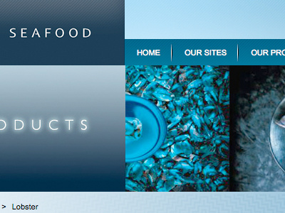 Ngai Tahu Seafoods Concept interface design promotion ui web design website