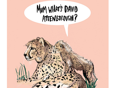 Questions - Cheetah Illustration