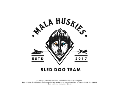 Logo design for Mala Huskies branding bw design dog dog logo dog lovers handrawn logo logodesign minimal simple sled dog team vector vintage