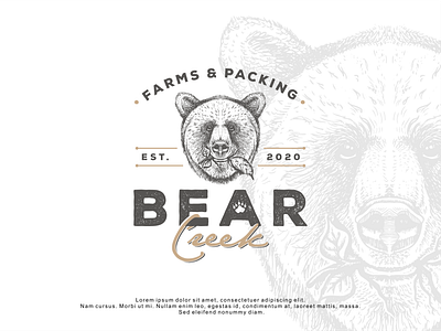 Logo design for Bear Creek