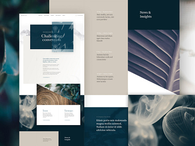 Unused Homepage Concept clean concept design finance grid homepage layout marketing minimal ui web design website