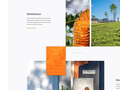 Landscaping Website Homepage concept construction design gardening grid homepage landscaping layout ui vibrant web design website