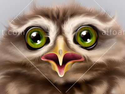Animals Alphabet. Work in progress. alphabet animals bird cute funny letters owl zebra