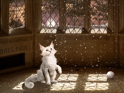 Magic Cloud cat christmas cloud glow night old house snow snowfall snowflakes tudor window winter