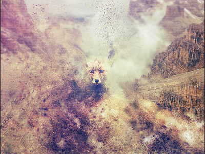 Desert Fox album artwork animal art artwork digital art fox graphic design photomanipulation photoshop poster print web