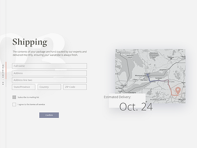 Shipping details checkout clothing ecommerce fashion interface preferences select selection sketch ui ux web