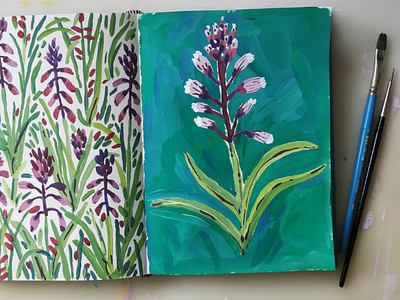 Purple flower botanical drawing floral flower gouache illustration nature painting sketchbook