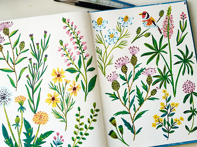 Sketchbook Practice art drawing floral flowers gouache hand drawn illustration nature painting pattern sketchbook