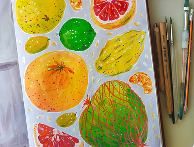 Citrus Fruits art citrus drawing fruits gouache hand drawn illustration lemon painting sketchbook