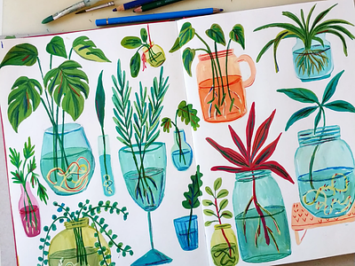 Plant Propagation art botanicals drawing gouache hand drawn illustration painting plants sketchbook