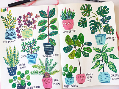 Plants sketches art drawing flowers gouache hand drawn illustration nature painting pattern plants sketchbook