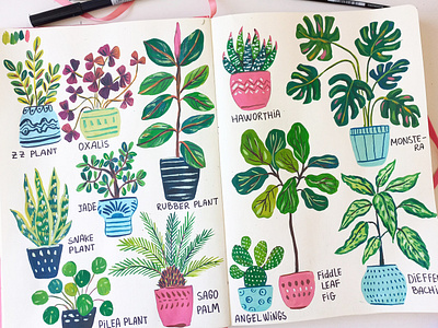 Plants sketches