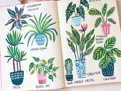 Plants art drawing gouache hand drawn illustration painting plants sketchbook