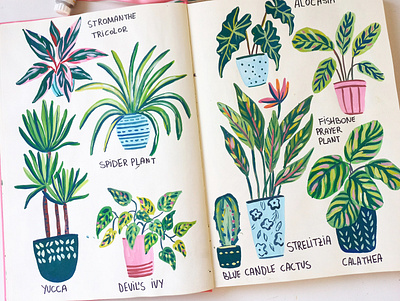 Plants art drawing gouache hand drawn illustration painting plants sketchbook
