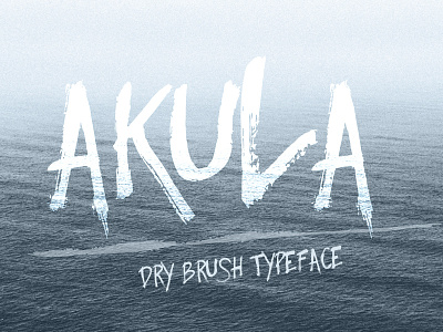 Akula- Dry Brush Font alternative branding brush brushy creative decorative dirty font grunge handwritten modern typeface