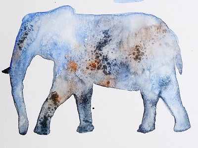 Watercolor elephant animals drawing elephant illustration watercolor