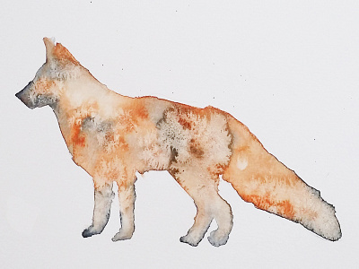 Watercolor fox