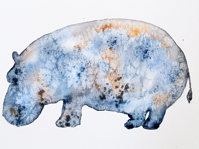 Watercolor hipo animals drawing hipopotam illustration watercolor