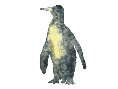 Watercolor penguin animals drawing illustration penguin watercolor