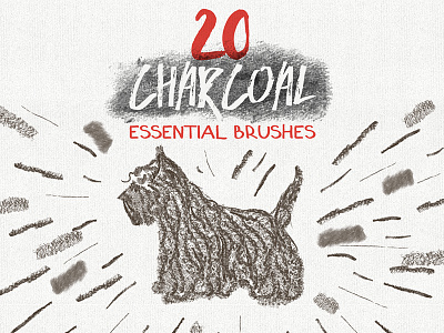 Charcoal vector brushes 