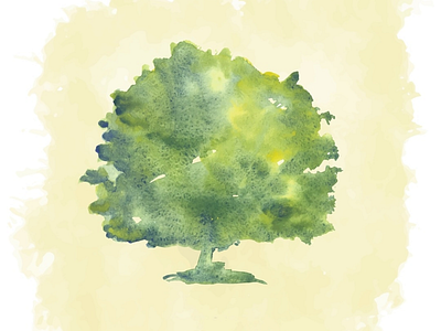 Watercolor tree drawing hand made illustration nature tree watercolor