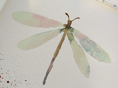 Watercolor dragonfly illustration dragonfly drawing illustration paint watercolors watercolour