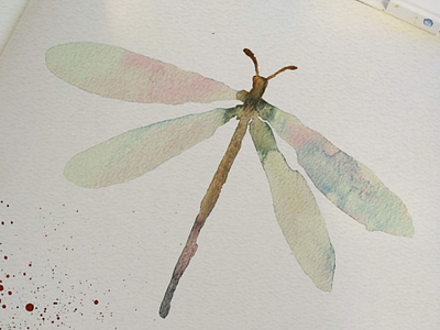 Watercolor dragonfly illustration