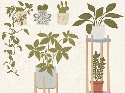 Plants drawing hand drawn illustration plants vector