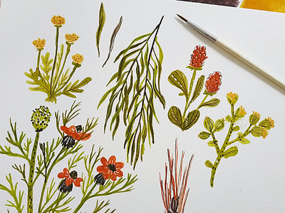 Plant study drawing flowers gouache greens illustration leaves painting