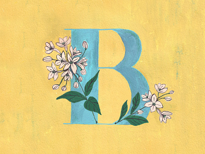 B for Bouvardia alphabet drawing flowers hand drawn illustration letters typography art