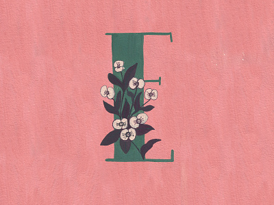 E for Euphorbia drawing flowers gouache hand drawn illustration