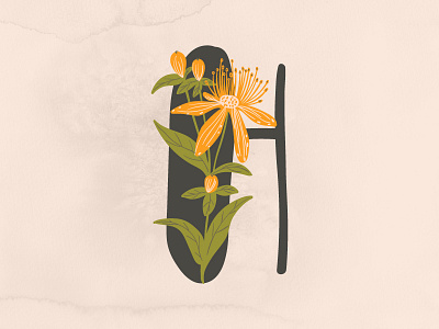 Floral Alphabet - L alphabet drawing flowers gouache hand drawn illustration typography vector