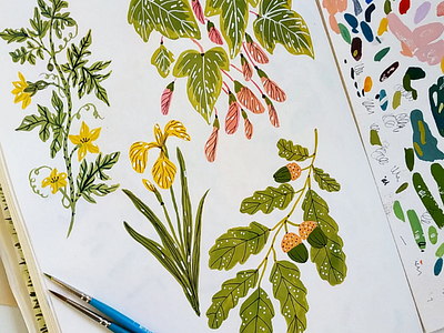 Leaves botanical drawing flowers gouache hand drawn illustration leaves paint trees