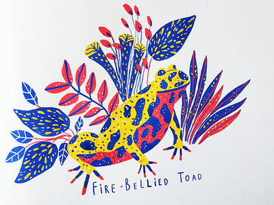 Fire Bellied Toad animal alphabet animals art drawing gouache hand drawn hand lettering illustration nature typography