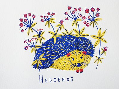 Hedgehog animal alphabet animals art drawing flowers gouache hand drawn hand typography illustration nature