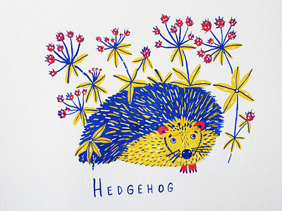 Hedgehog