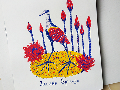 Jacana Spinosa alphabet animal art drawing flowers gouache hand drawn hand lettering illustration lettering nature