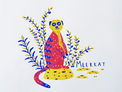 Meerkat animal alphabet animals art drawing gouache illustration nature