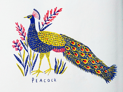 Peacock