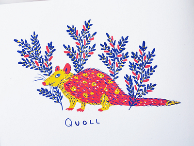 Quoll animals art drawing gouache hand drawn illustration nature plants