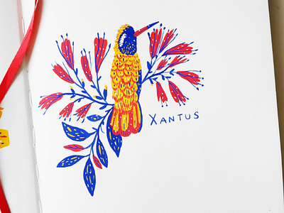 Xantus alphabet art birds drawing flowers gouache hand drawn illustration nature painting