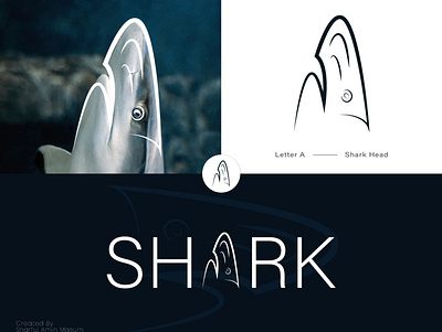 Shark Logo Concept logo designing