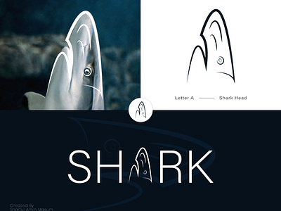 Shark Logo Concept